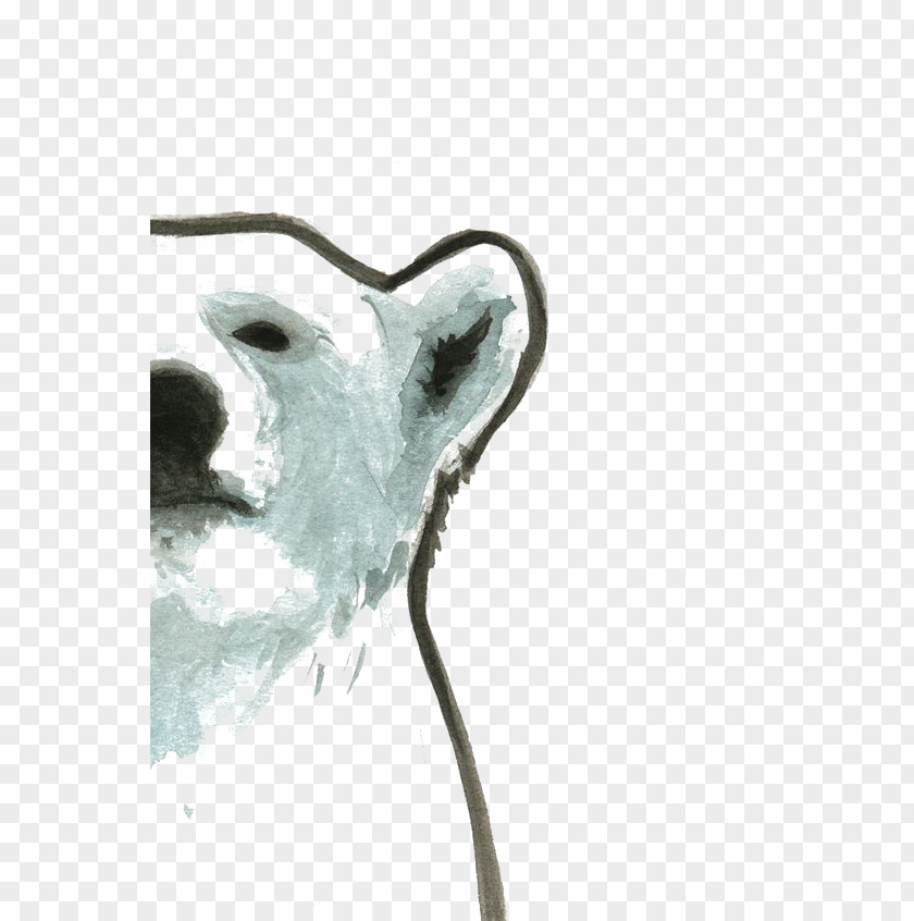 Hand-painted Polar Bear Drawing Illustration PNG