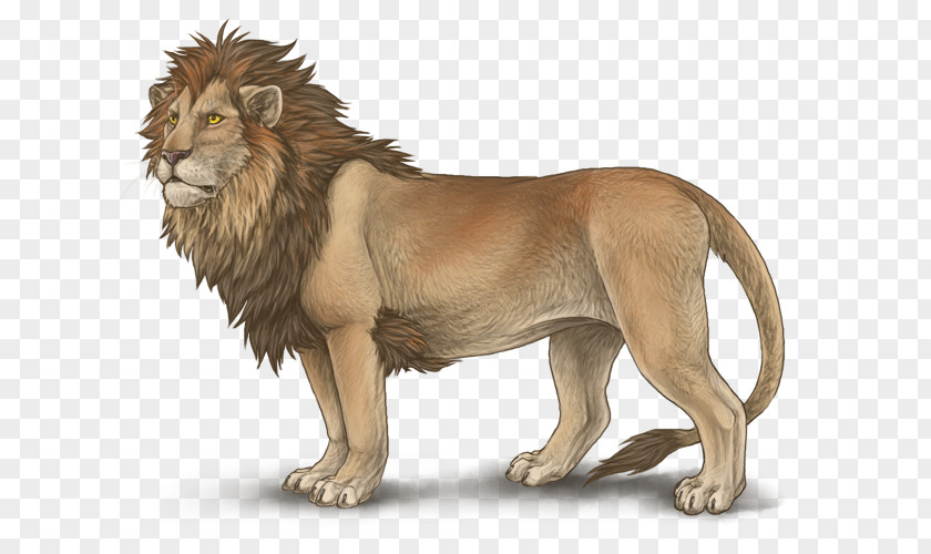 Lion Head Mutation Leopon Mane Hybrid PNG