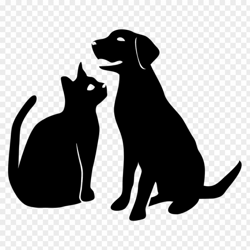 Paw Blackandwhite Dog And Cat PNG