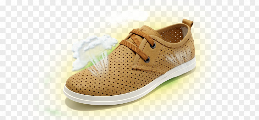 Sports Shoes Shoe Sneakers Designer Computer File PNG