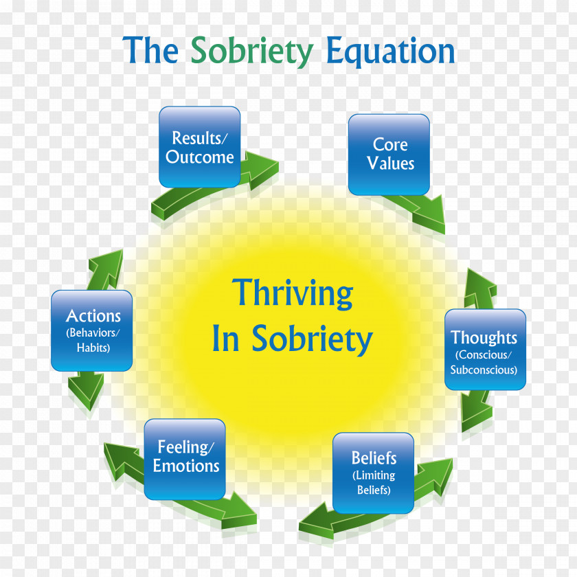 Tony Robbins Sobriety Addiction Drug Rehabilitation Alcoholics Anonymous Codependency PNG
