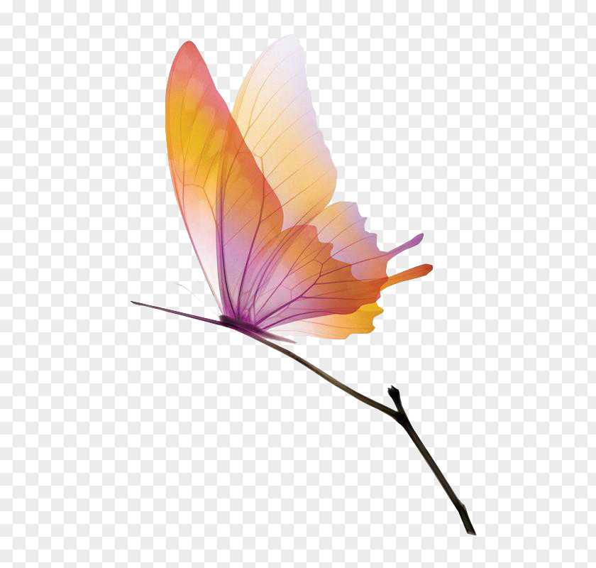 Butterfly On Branches Animation Gfycat Wallpaper PNG