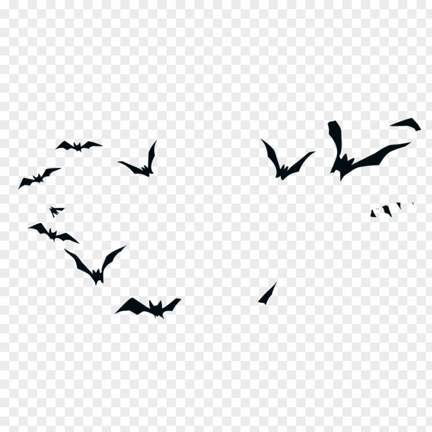 Cry Halloween Witch Silhouette Birds Bird PNG