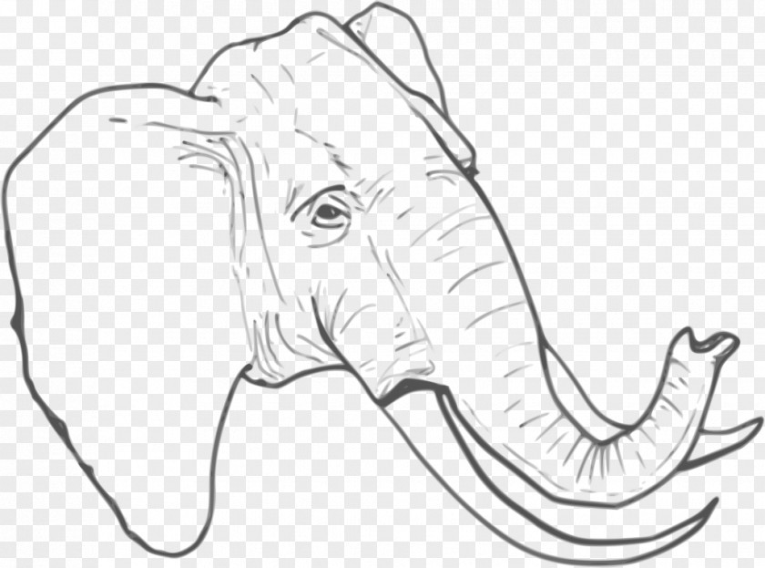 Elephants African Elephant Clip Art Drawing Vector Graphics Line PNG