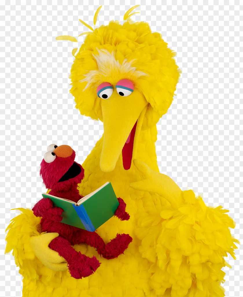 Sesame Big Bird Elmo Zoe Workshop Reading PNG