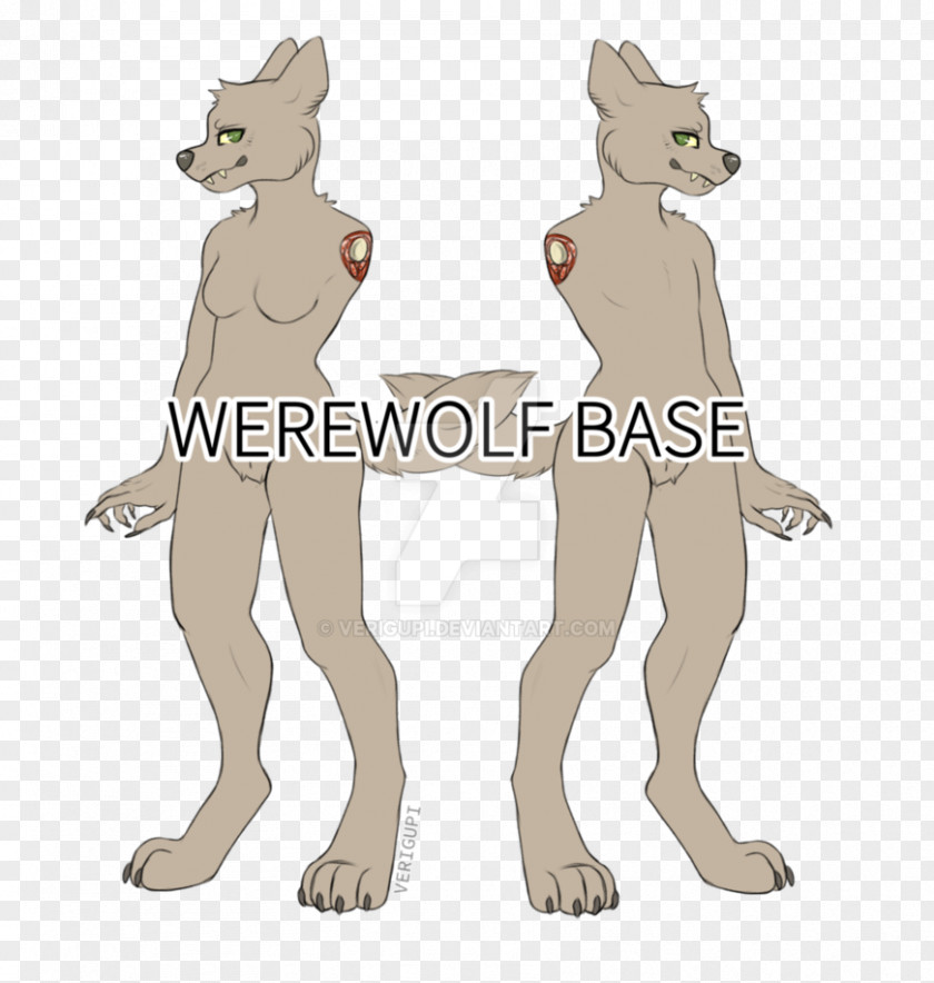 Cat Dog Werewolf Drawing Base PNG