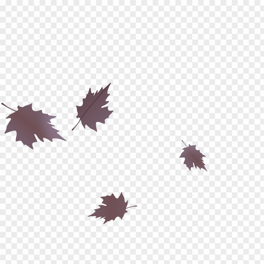 Leaf Maple / M Tree Computer Plant PNG