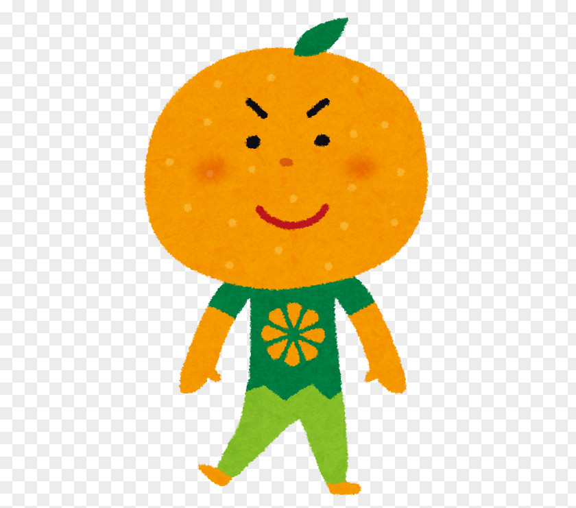 Satsuma Mandarin Orange Juice Wakayama Prefecture Hesperidin いらすとや PNG