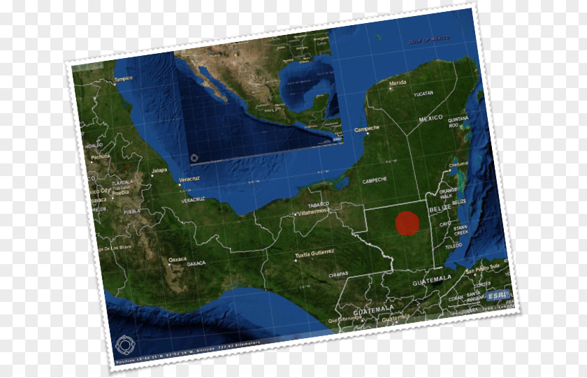 Brachypelma Vagans Petén Department Petén-Veracruz Moist Forests World Water Resources PNG