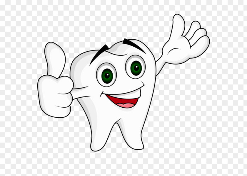 Cartoon Tooth Dentistry Human Clip Art PNG