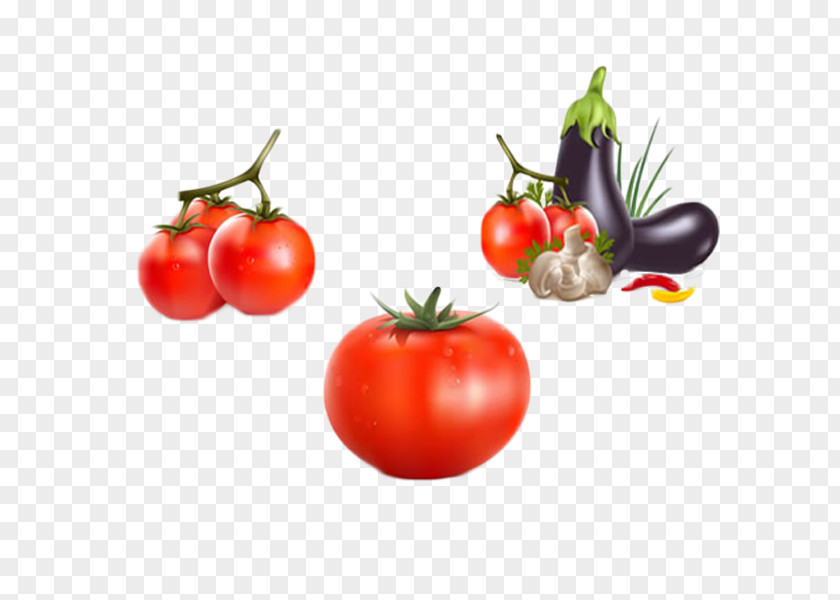 Fresh Vegetables Vegetable Tomato Eggplant Icon PNG