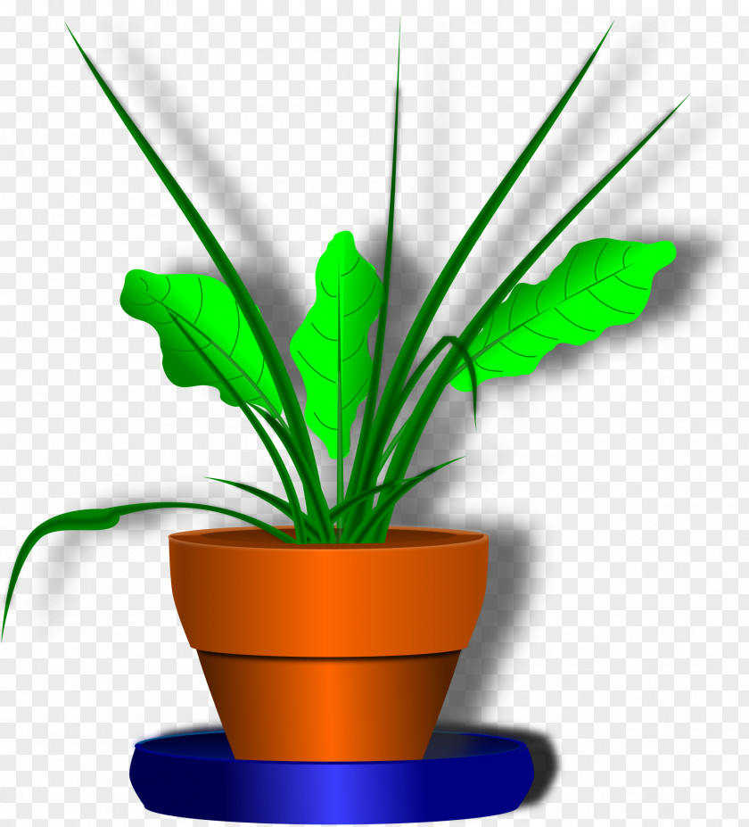 Plant Stem Flower Garden PNG