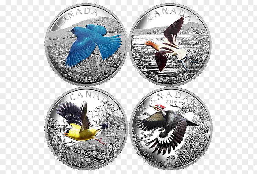 United States Ten-dollar Bill Coin Bird Migration Canada Silver PNG