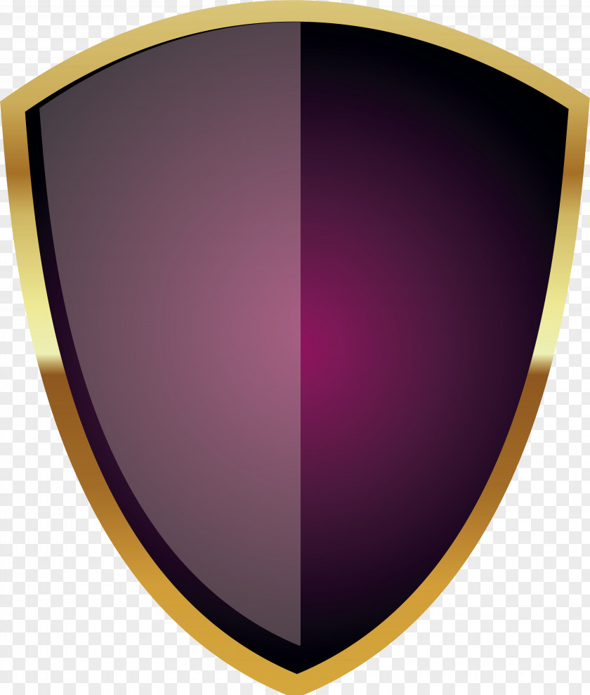 Warrior Shield Icon PNG