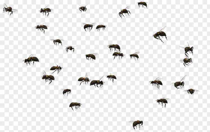 Bee Beehive Swarming Clip Art PNG