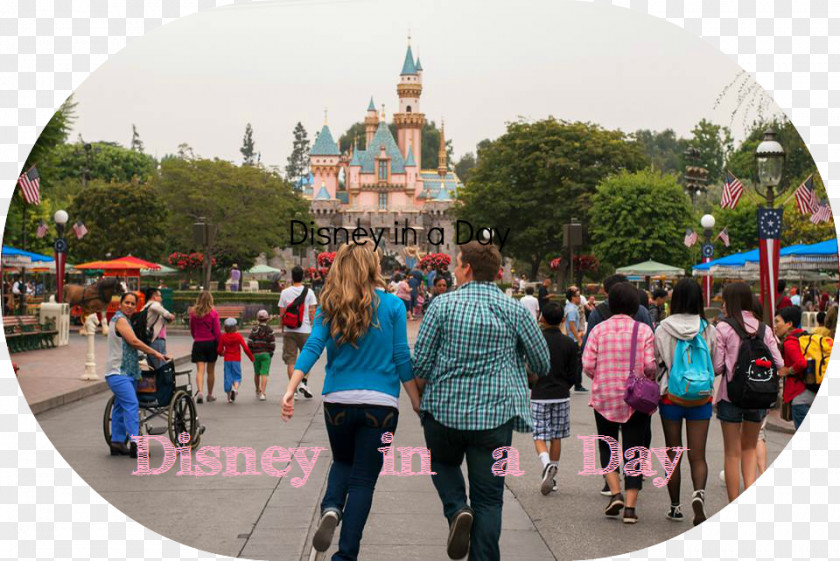 Disneyland Castle Amusement Park Public Space Leisure Tourism Entertainment PNG