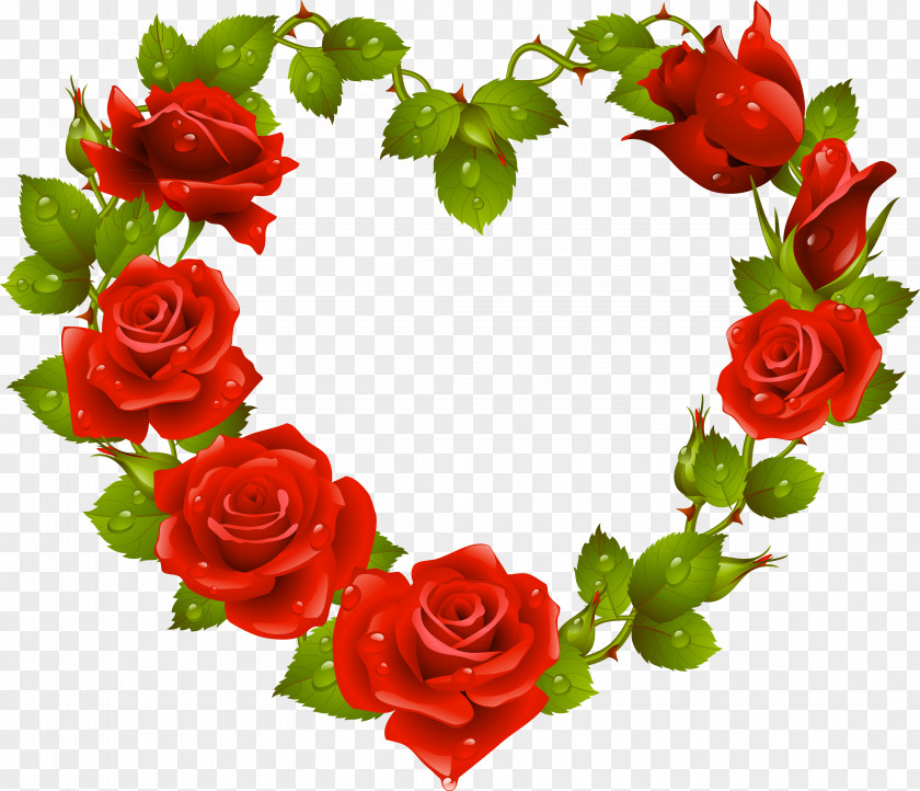 Heart Garden Roses Flower Red Clip Art PNG
