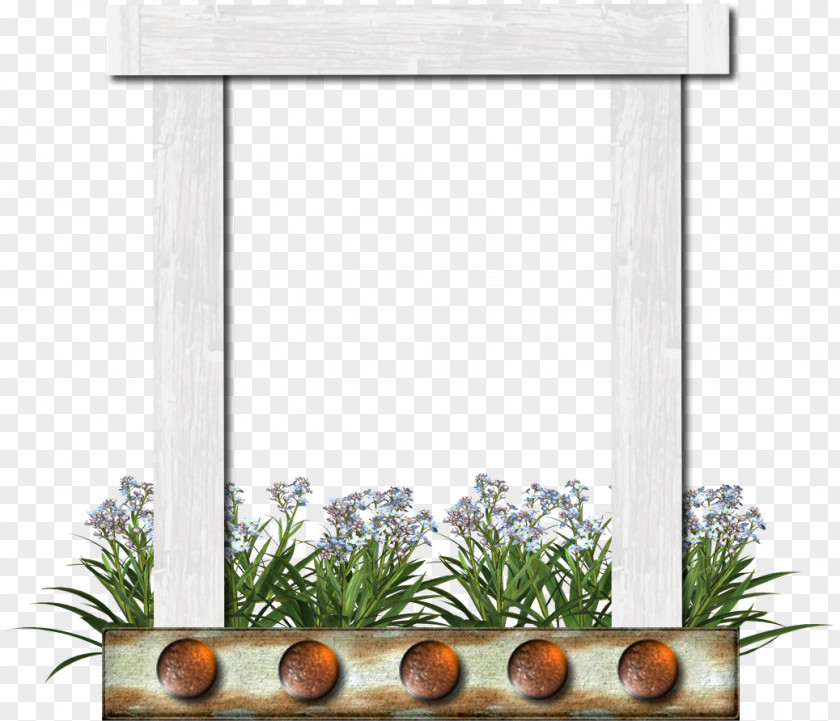 Photography Picture Frames PNG