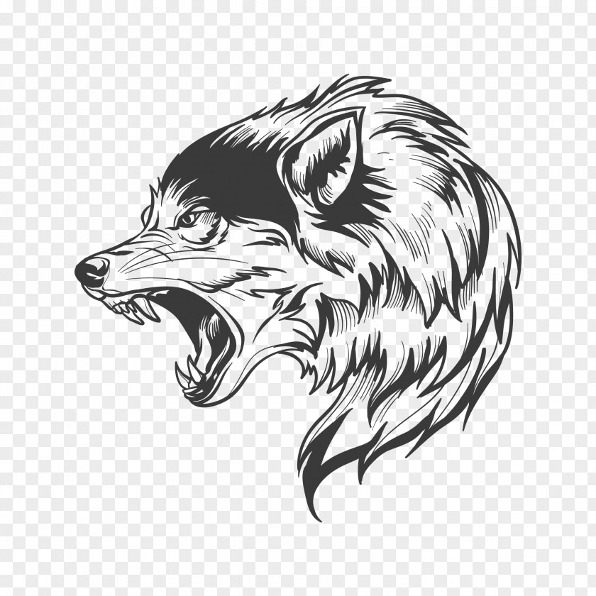 Wolf Stock Photography Illustration Graphics Drawing PNG