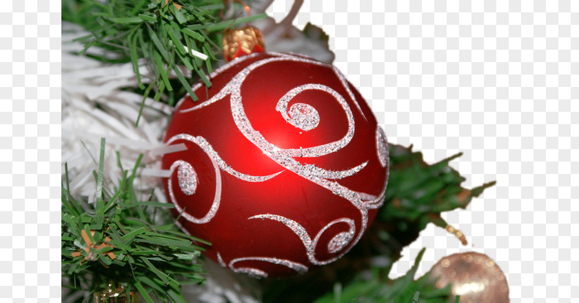 Creative Christmas Groningen Eelderwolde Fletcher Familiehotel Paterswolde Tree PNG