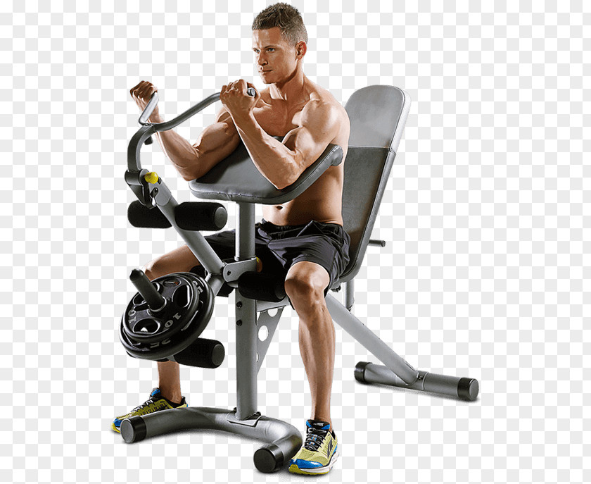 Hoist Fitness Equipment Bench Exercise Gold's Gym Weight Training Centre PNG