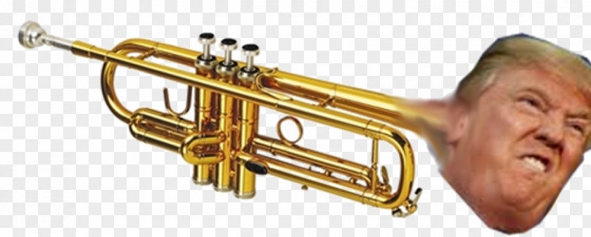 Trumpet Musical Instruments Orchestra Brass PNG