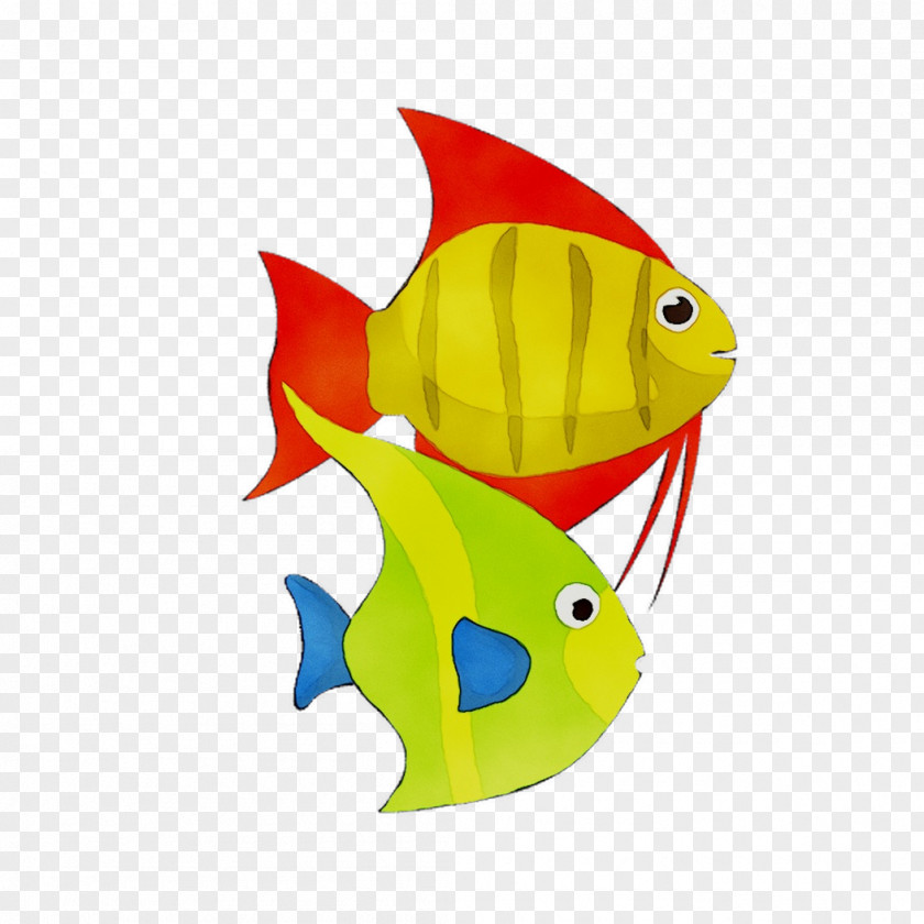 Yellow Marine Biology Fish Animal PNG
