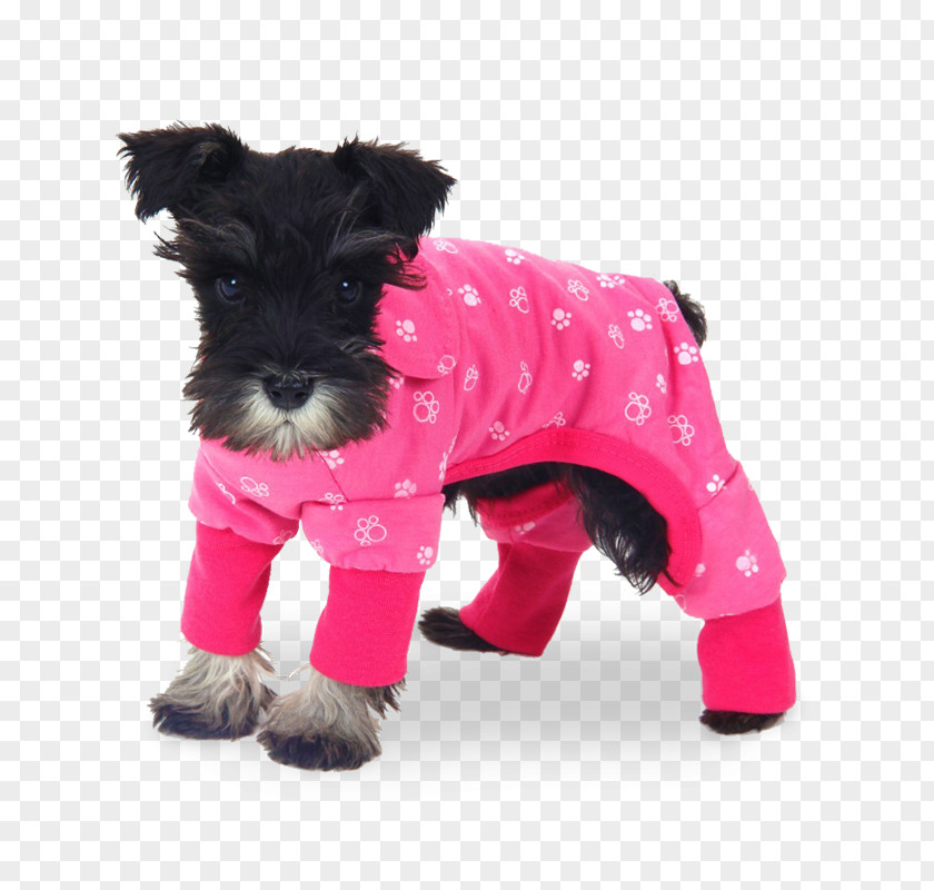 Animal Hair Dog Puppy Pajamas Clothing T-shirt PNG