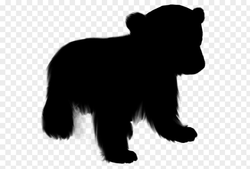 Bear Dog Mammal Canidae Fur PNG