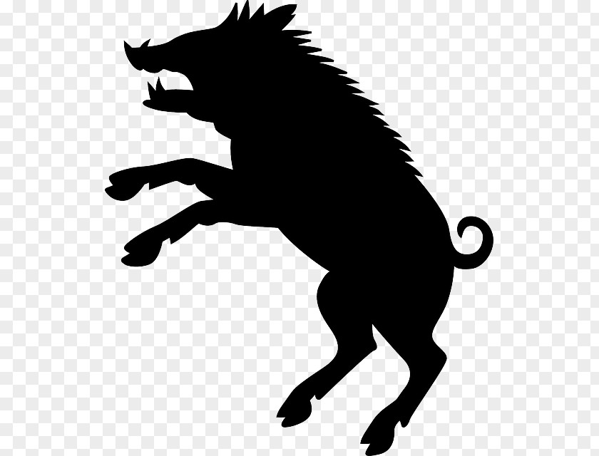 Boar Cat Dog Black And White Silhouette PNG