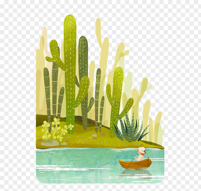 Cactus Forest Drawing Cartoon Illustration PNG