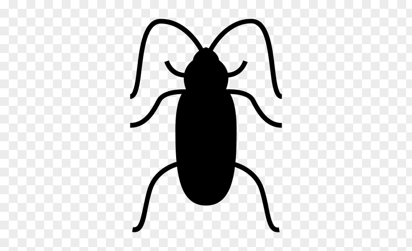 Cockroach Pest Control Insect Ecology PNG