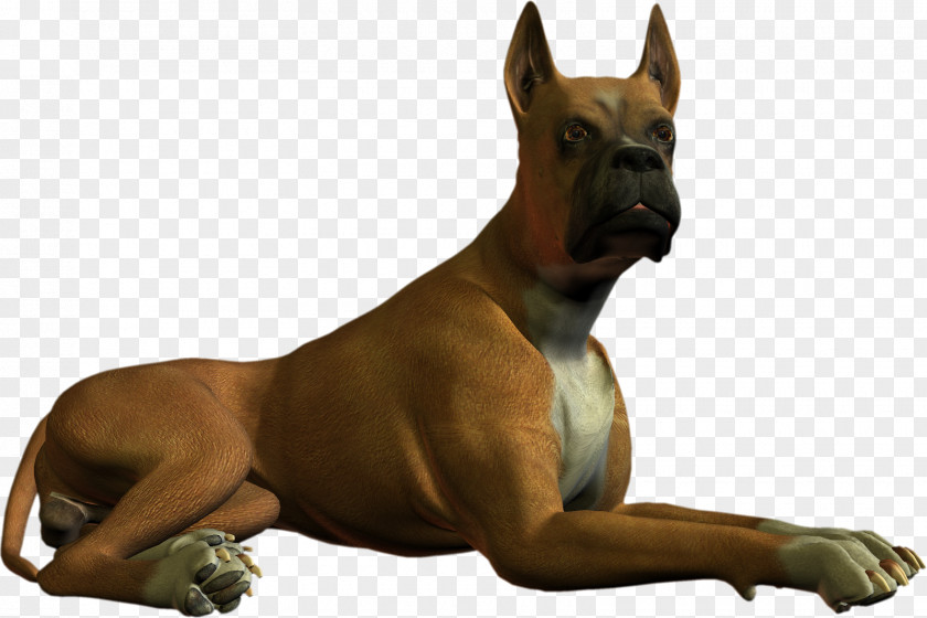 High Resolution Dog Clipart Boxer Great Dane Breed Clip Art PNG