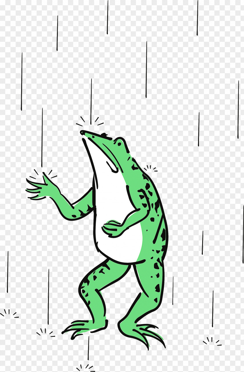 True Frog Toad Frogs Meter Cartoon PNG