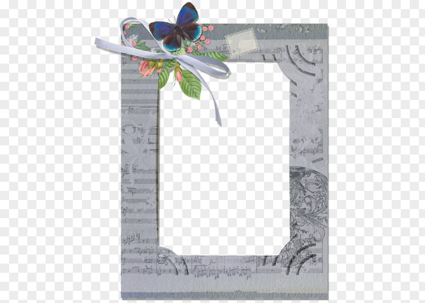 Butterfly Picture Frames Film Frame PNG
