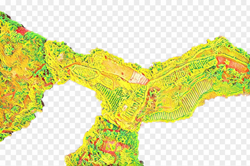 Map Yellow PNG