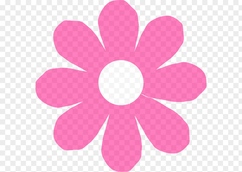 Plant Flower Pink Petal Magenta PNG
