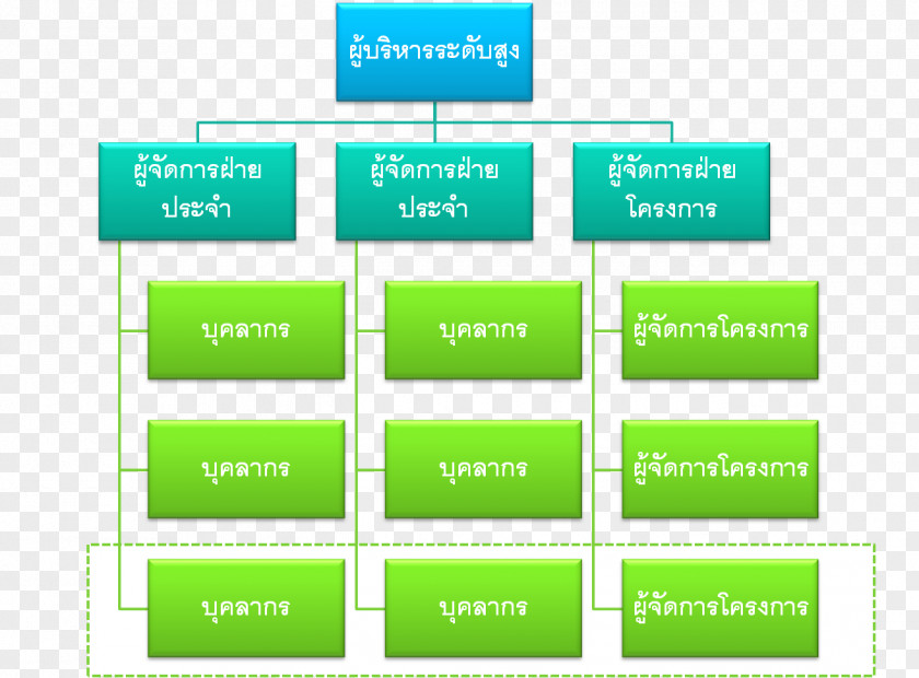 Project Team Organizational Structure PNG