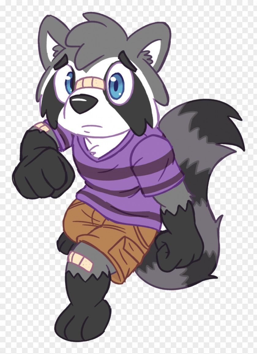 Raccoon Stoat Art Carnivora PNG