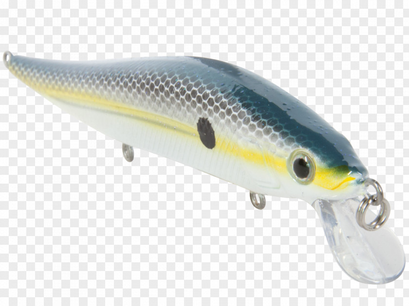 Speckled Trout AC Power Plugs And Sockets Fish PNG