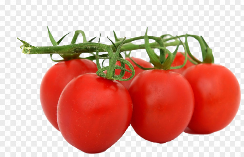 Tomato Plum Organic Food Bush Refried Beans PNG