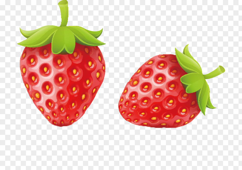 Vector Strawberry Fruit PNG