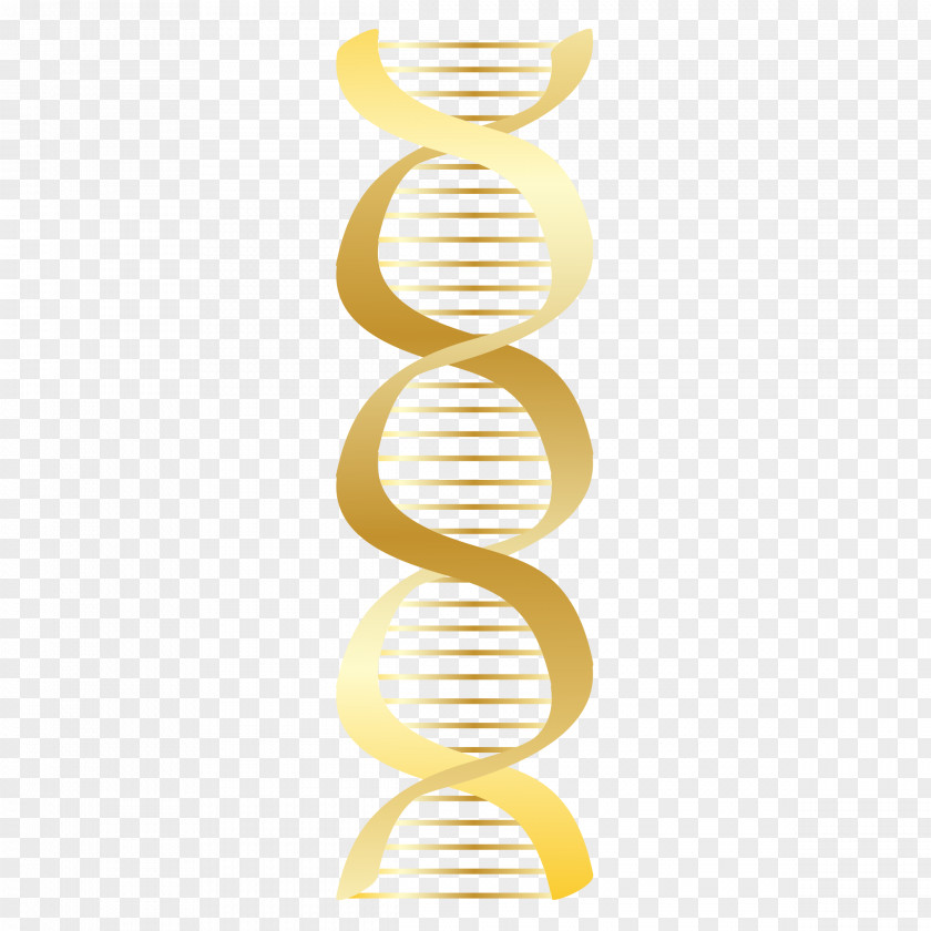 DNA Cliparts Nucleic Acid Double Helix Vector Free Content Clip Art PNG