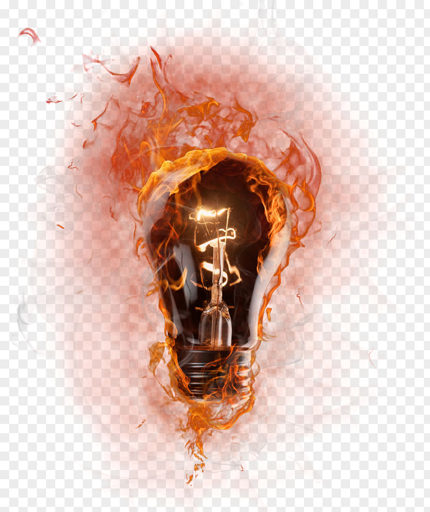 Flame Bulb Light PNG