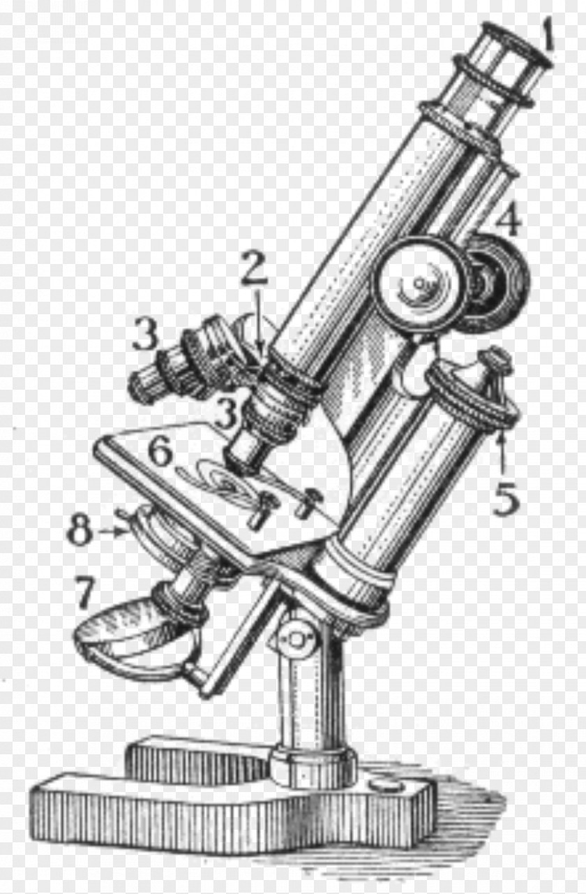 Light Optical Microscope Biology Micrograph PNG