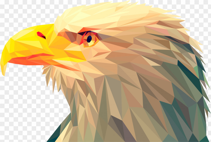 Low Poly Bird Bald Eagle Beak PNG