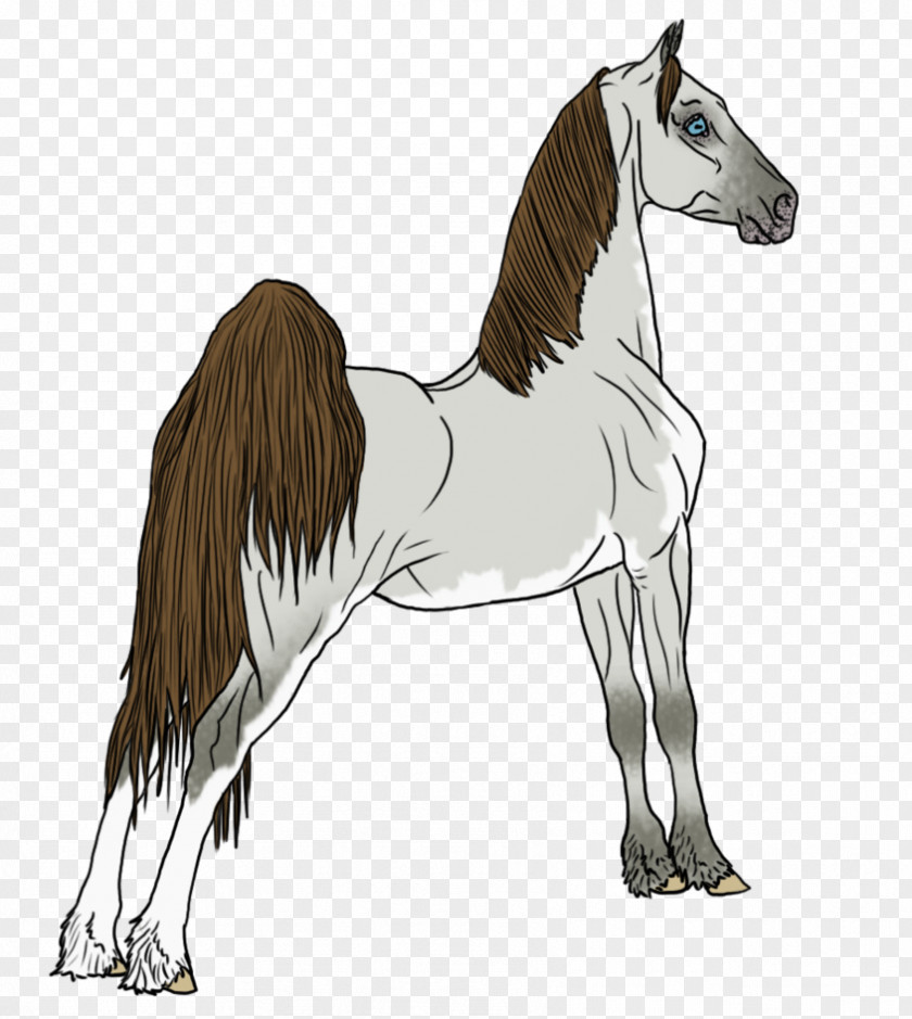 Mustang Mane Foal Stallion Colt PNG