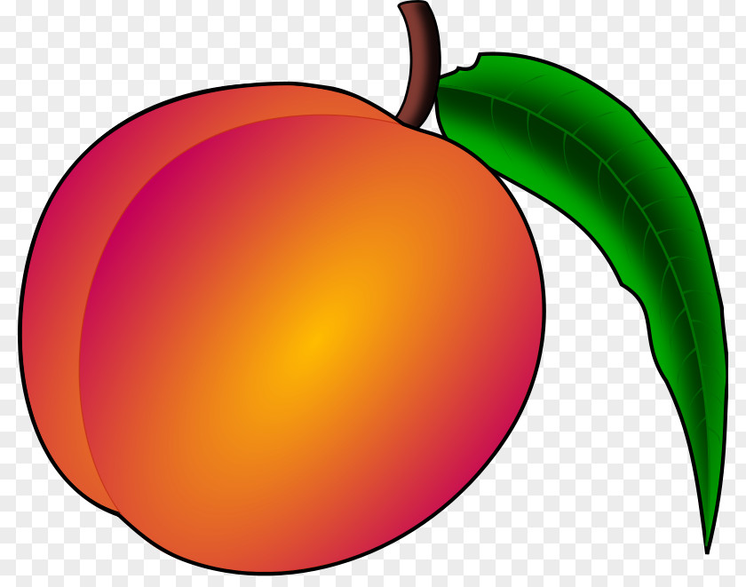 Pomegranate Peach Clip Art PNG