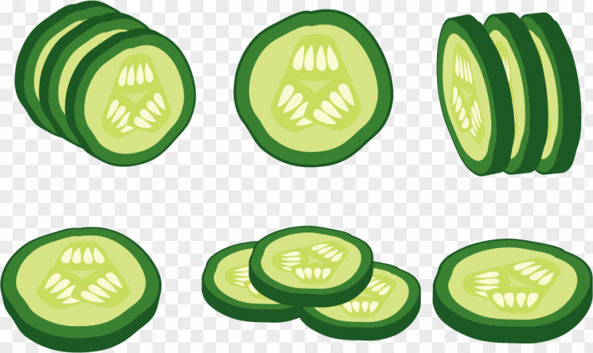 Vector Cucumber Slices Euclidean Vegetable PNG