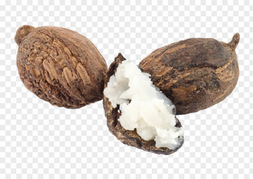 Cacao Theobroma Shea Butter Vitellaria Nut Goat Milk PNG